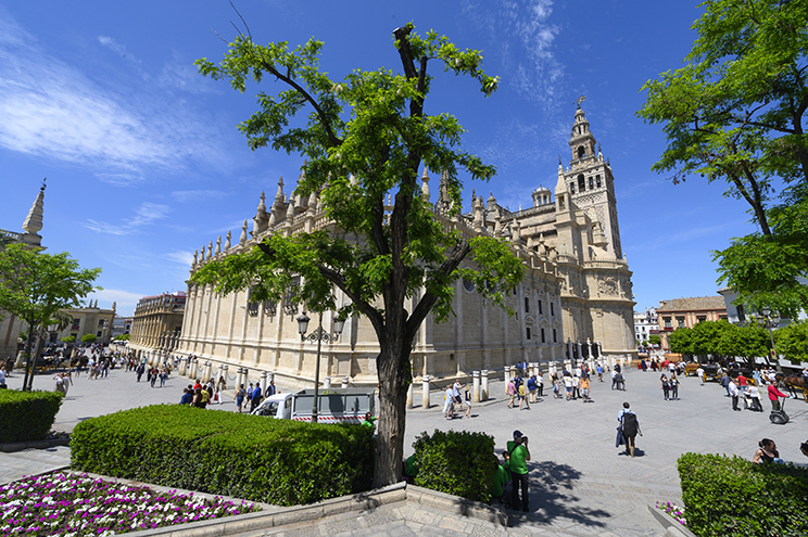 Seville